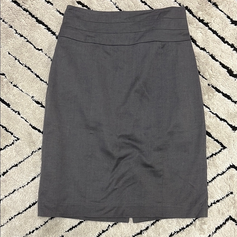 Elegant Gray Women's Skirt